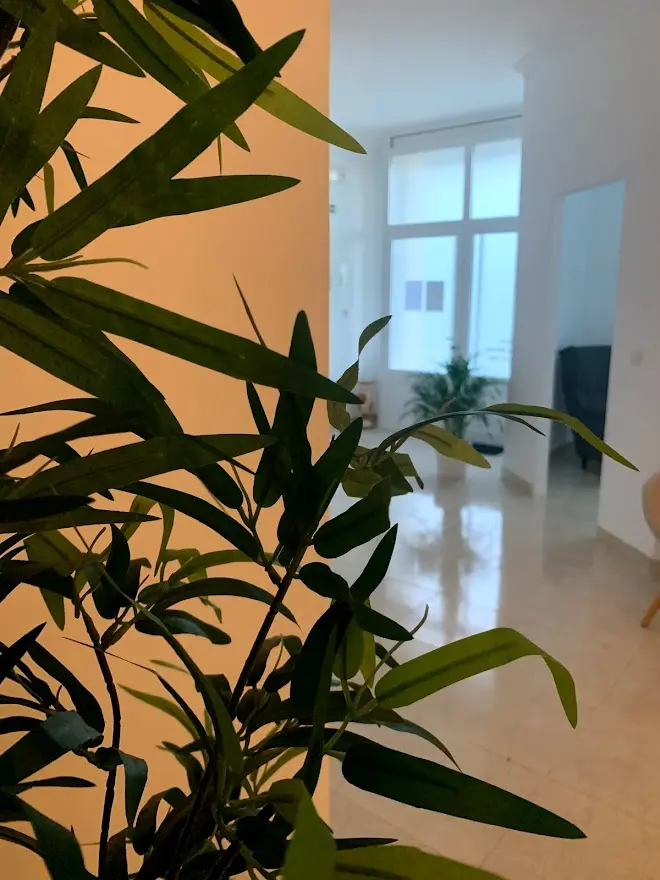 Planta interior clinica santa susana